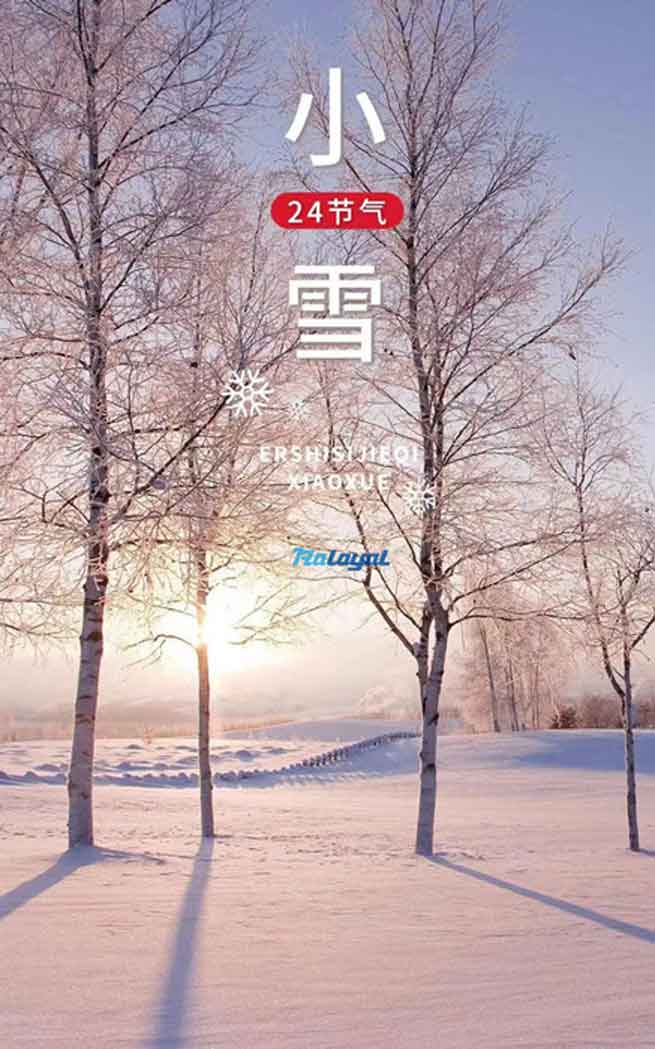 label slitter rewinder 