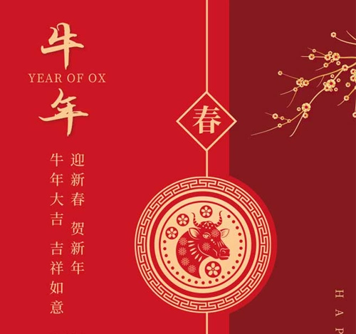 Happy Chinese New Year!